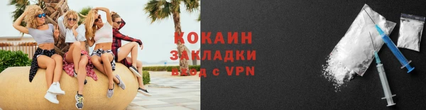 не бодяженный Заводоуковск