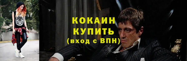 не бодяженный Заводоуковск