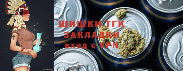 не бодяженный Заводоуковск