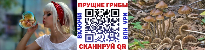 mega ССЫЛКА  купить наркотик  Альметьевск  Галлюциногенные грибы ЛСД 